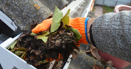 Woning voorbereiden op de herfst